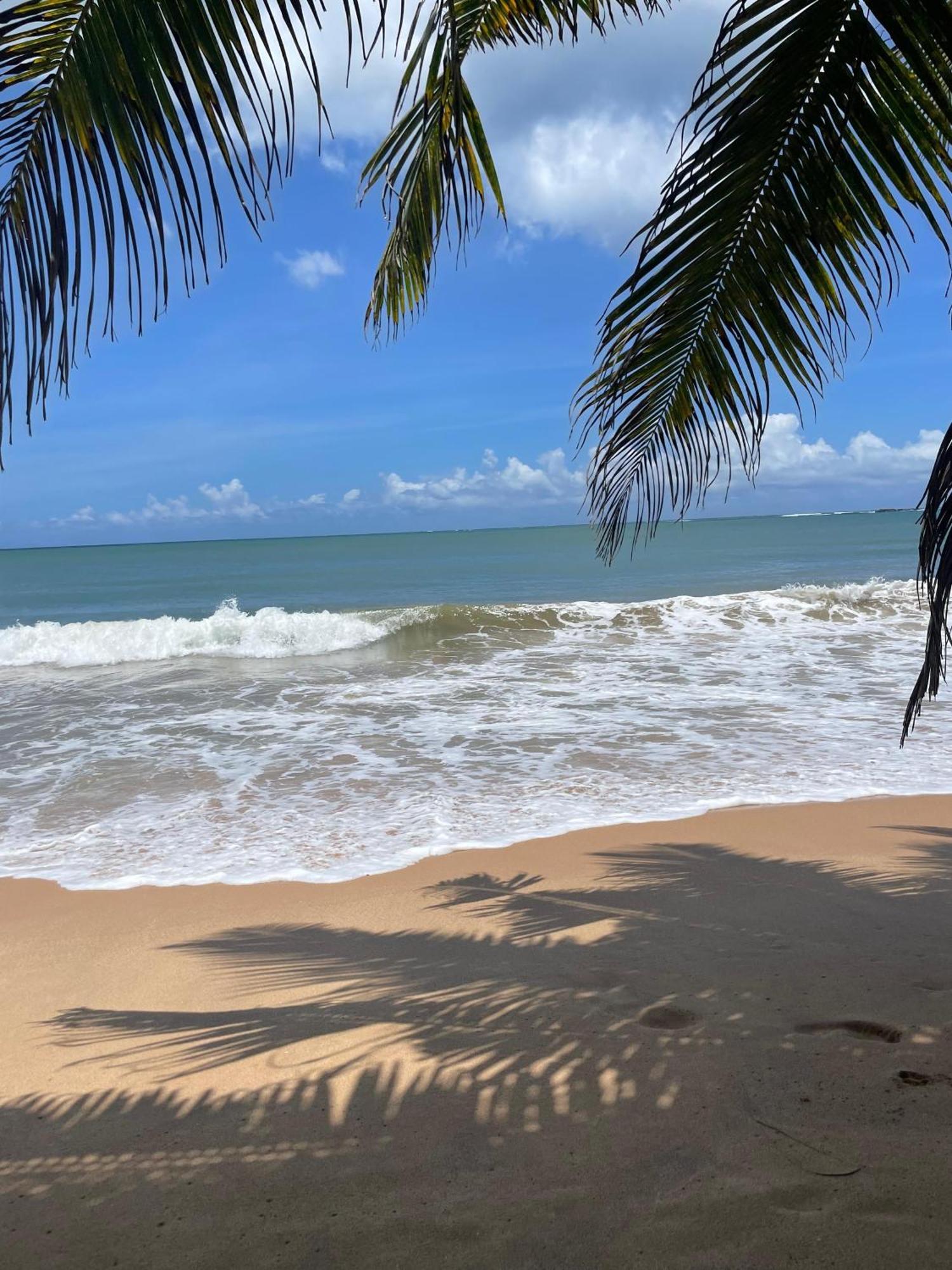 Frangipani Beach Villa แทนกาลเล ภายนอก รูปภาพ